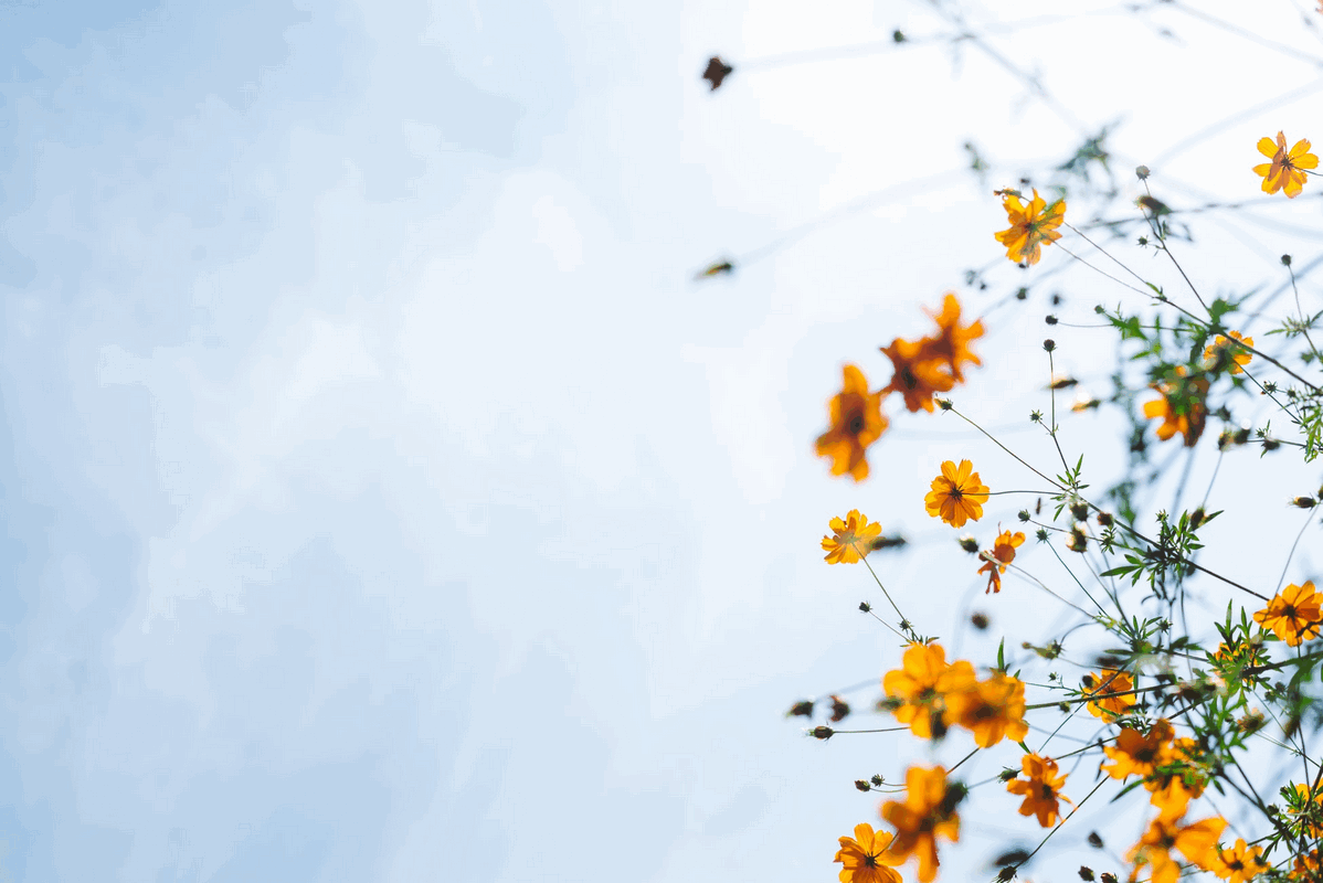 Holistic Connections